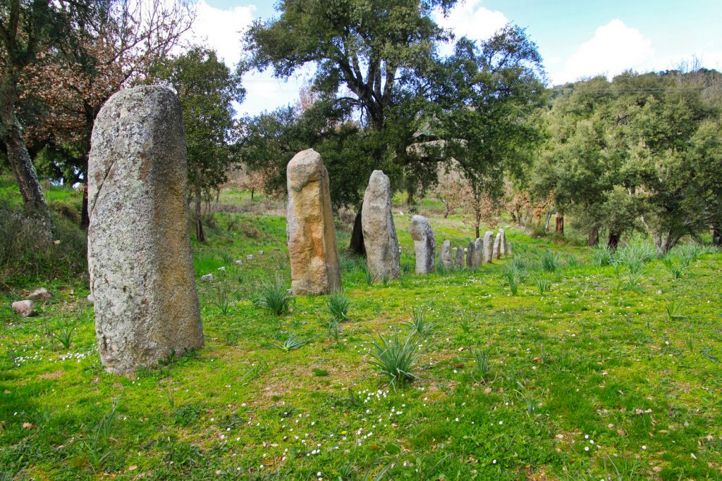 Menhirs de Biru