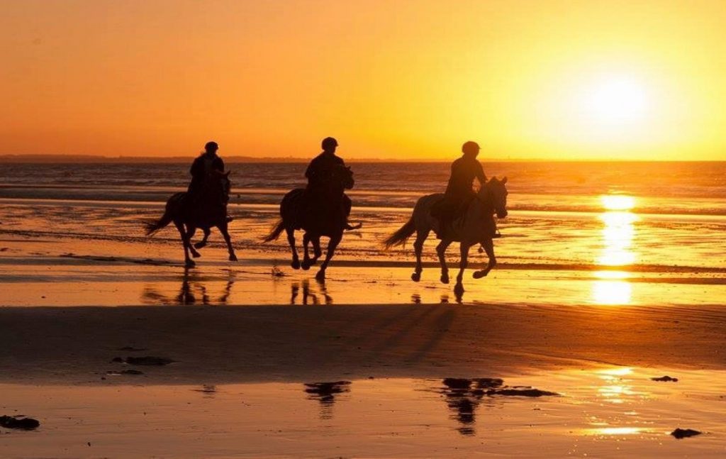 cheval plage